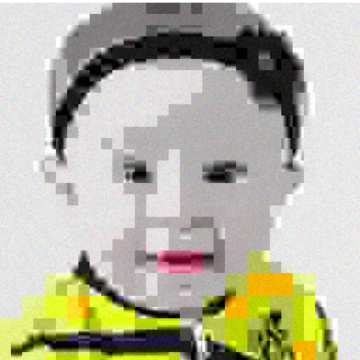 JPEG QF 2 degraded observation