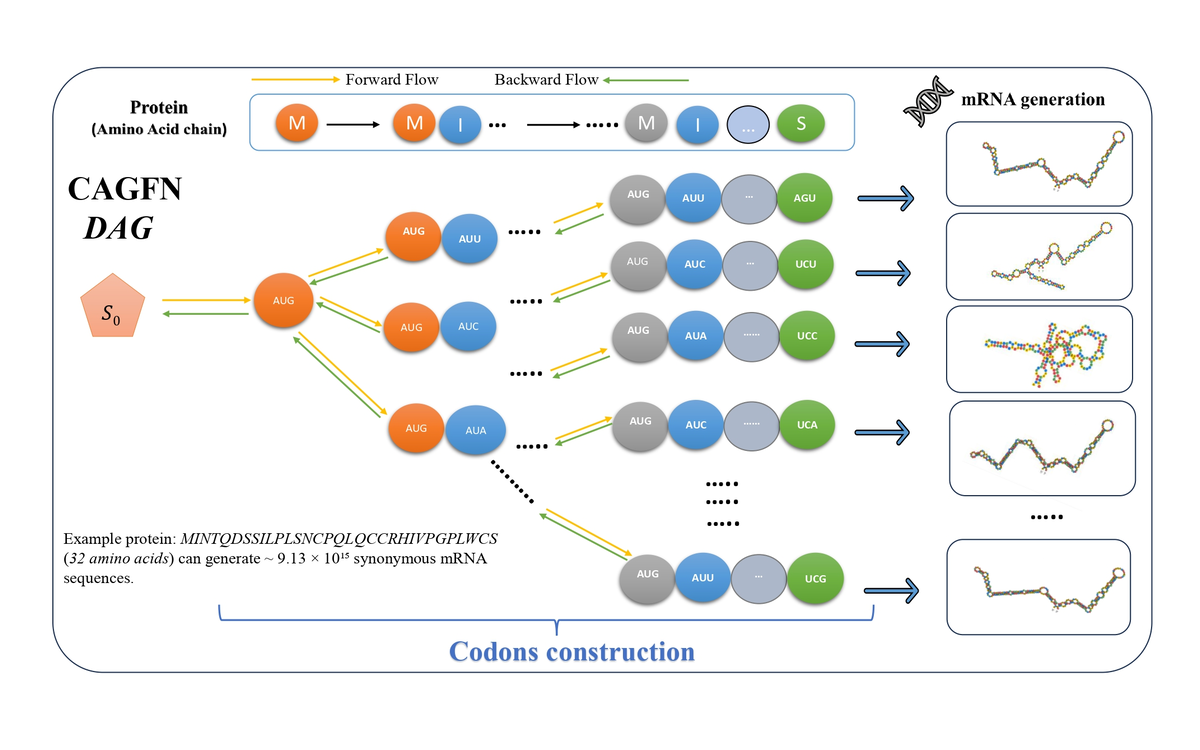 Curriculum-augmented GFlowNets preview
