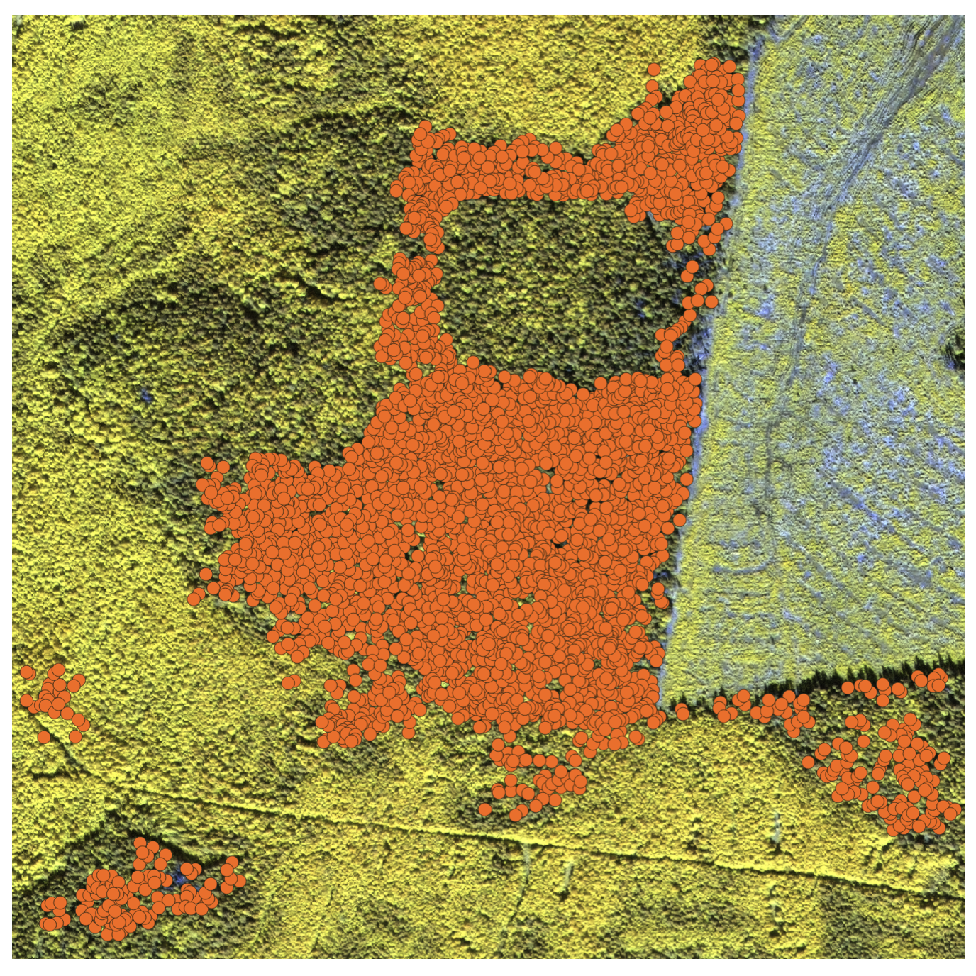 Forest inventory preview
